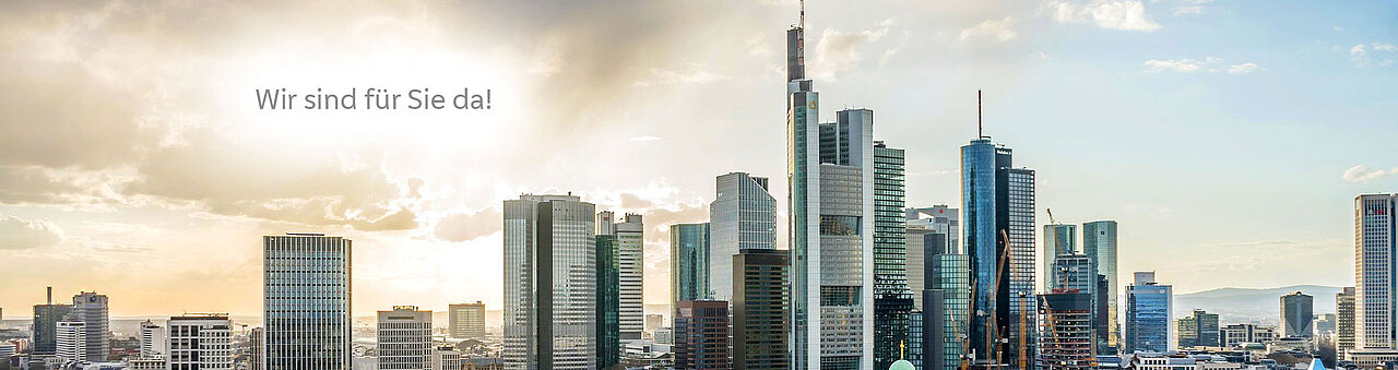 skyline ffm